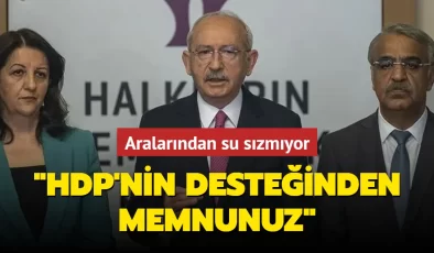 Aralarından su sızmıyor: HDP’nin desteğinden memnunuz